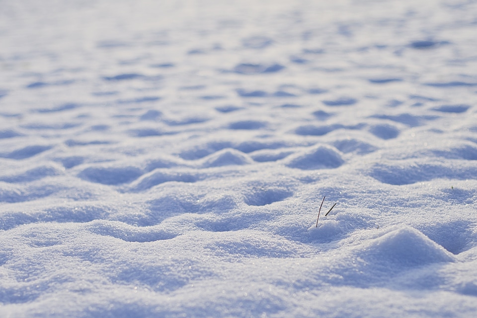Winter's day frost white