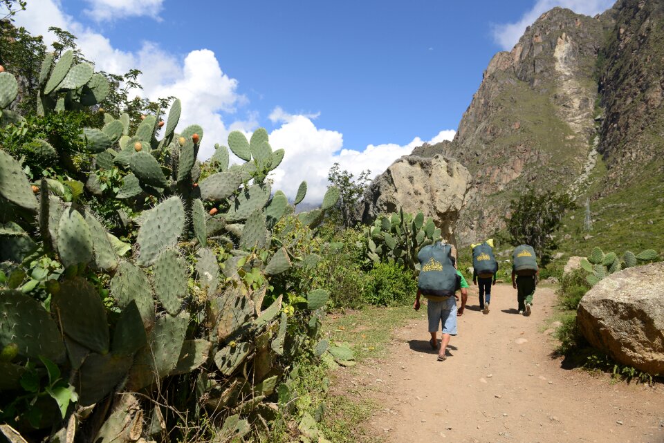 Porter carrying heavy loads in Inka Trail Peru