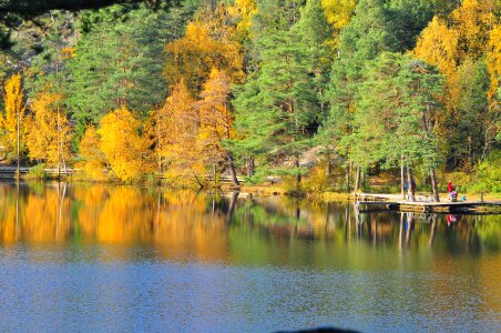 Lake Barn in the autumn. Sweden photo