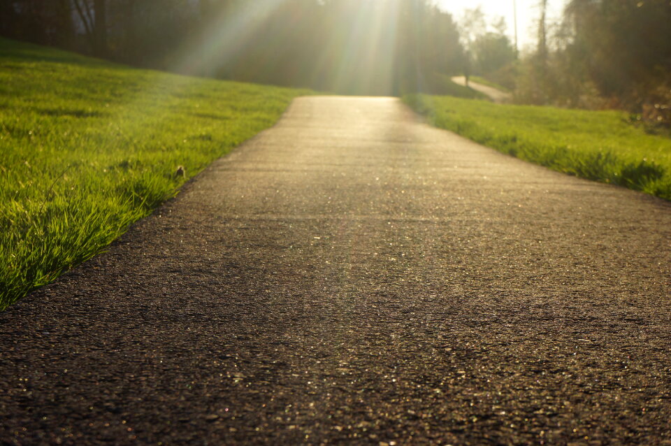 Dreamy enchanting path in the Grass photo