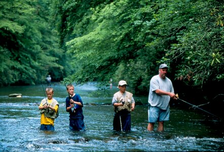 Davidson River in the Pisgah National Forest photo