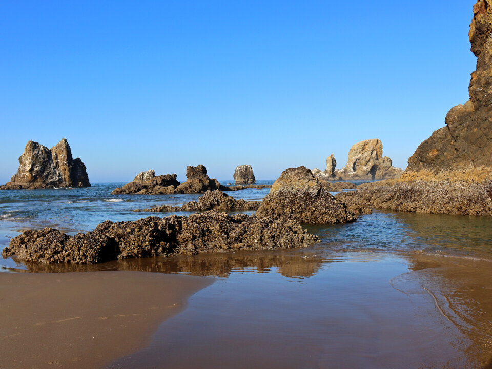 Ecola Point at Pacific Coast in Oregon