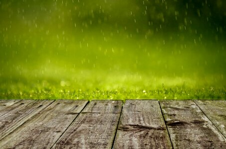Lush green grass with falling drops
