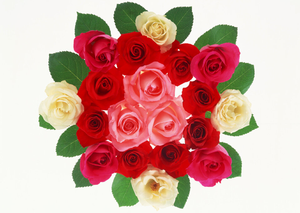 Red roses bouquet on white background