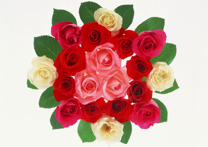 Red roses bouquet on white background photo