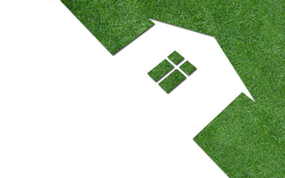 Lawn in the form of house