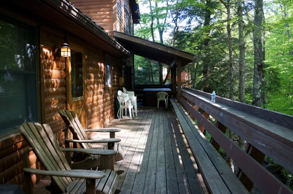 Backyard Log cabin and trees in Canaan Valley Resort Park