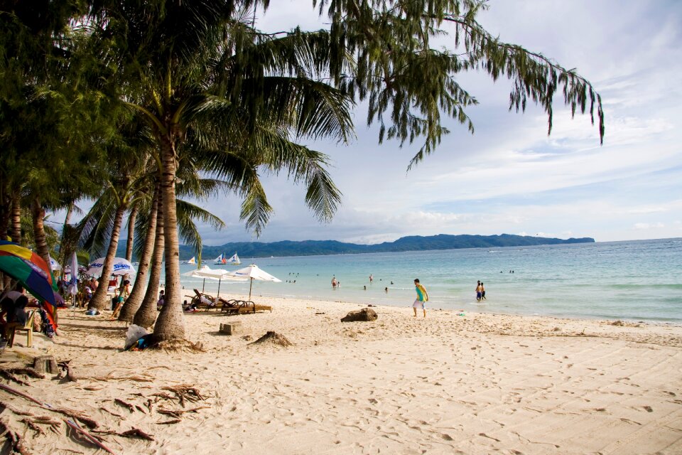 Tropical beach with beautiful palms and white sand