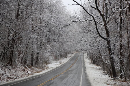 Frosted tree in Shenandoah National Park photo