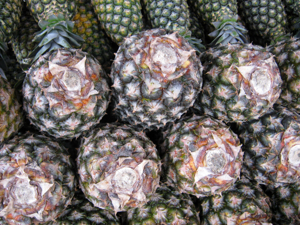 Stacks of fresh whole pineapple fruits