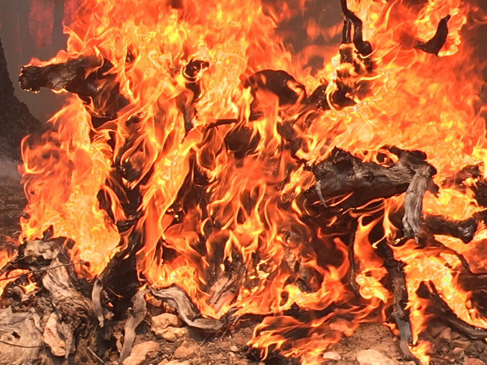 Fire on the North Kaibab