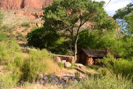 Indian gardens, Grand Canyon national park, Arizona photo