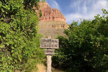 Indian gardens, Grand Canyon national park, Arizona photo