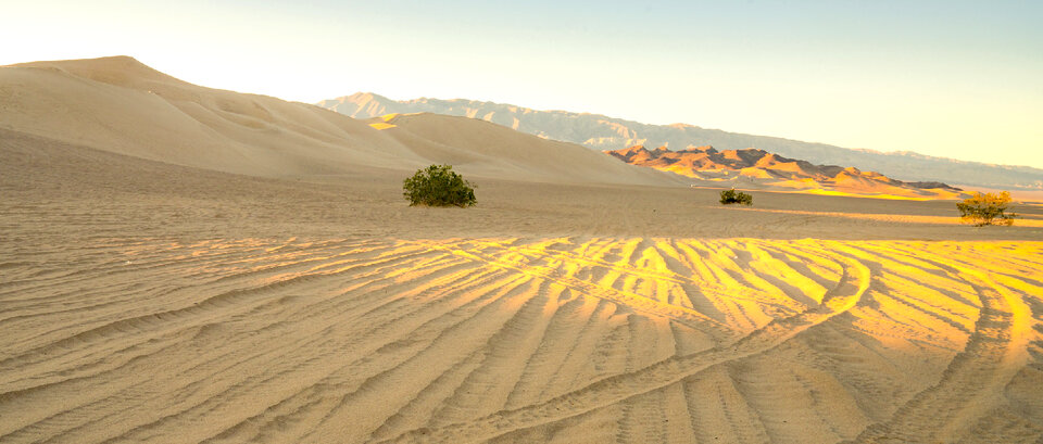 The Dumont Dunes Off -Highway Vehicle Area