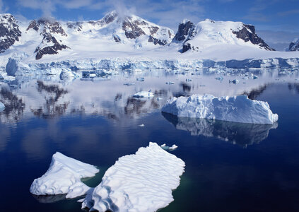 Glacial lake full of floating icebergs photo