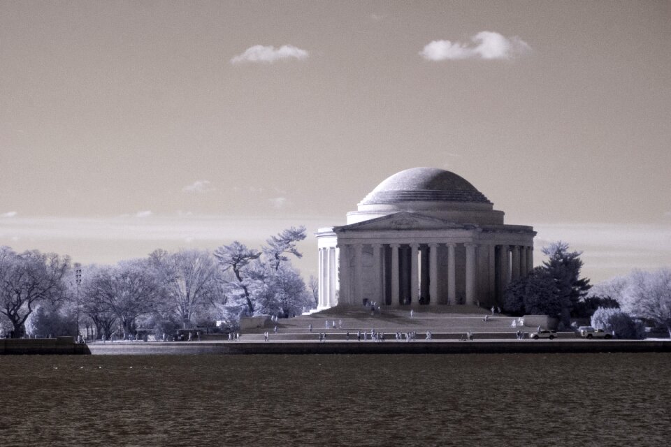 Cherry blossoms near the Tidal Basin