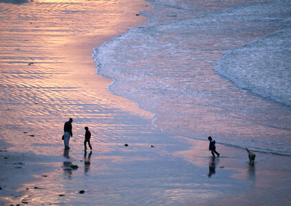 Family Walking Beach Sunset