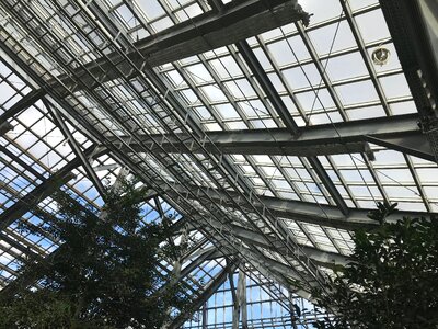 Large Glasshouse in botanical gardens
