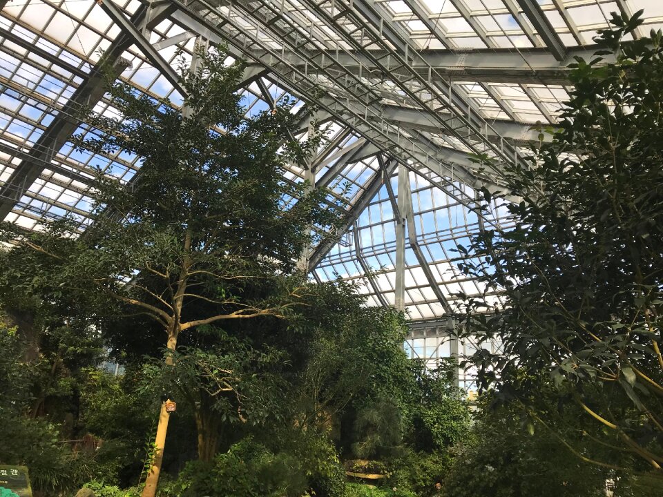 Large Glasshouse in botanical gardens