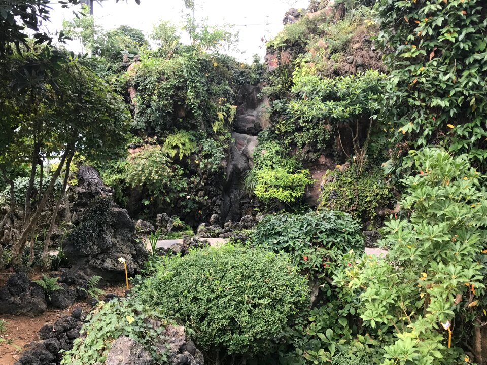 Large Glasshouse in botanical gardens