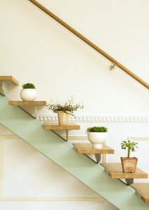 Flowerpots situated on wooden stairs in luxury home photo