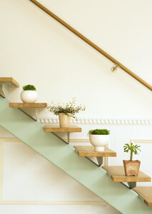 Flowerpots situated on wooden stairs in luxury home