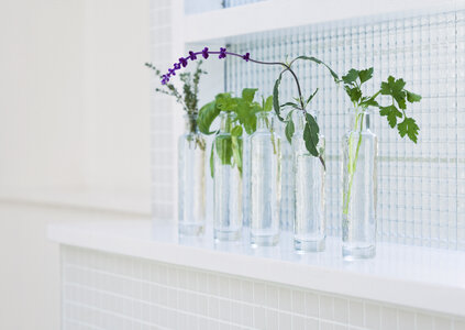 Several leaves in bottles photo