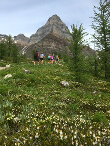 Larch Valley Trail - The Ten Peaks, Moraine Lake, Banff