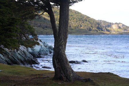 Beagle Channel in Puerto Guarani