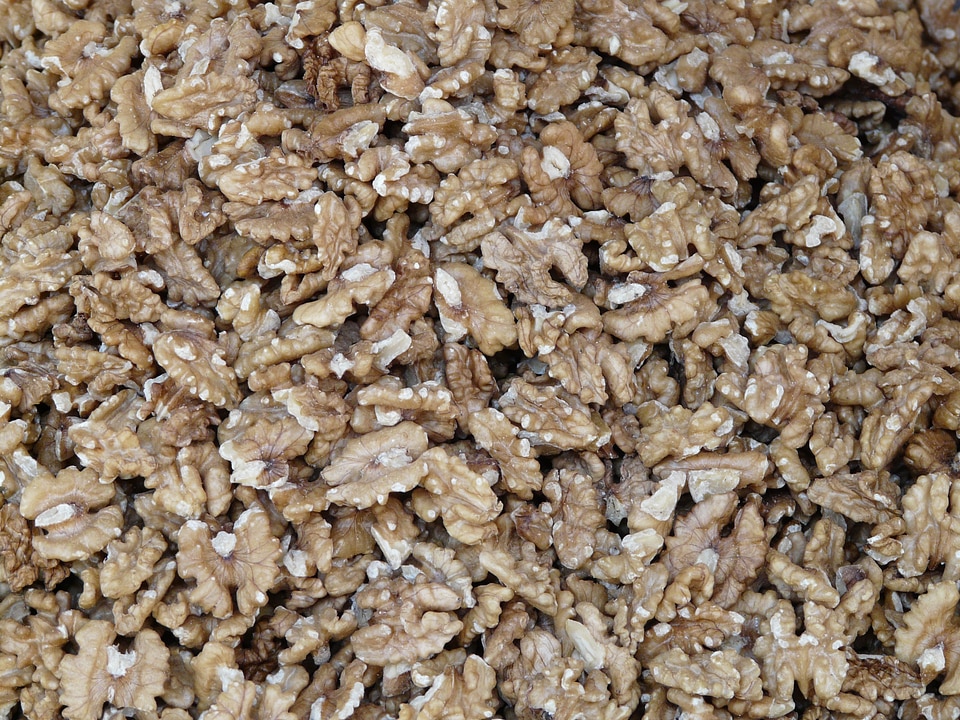 Tasty juglans regia real walnut