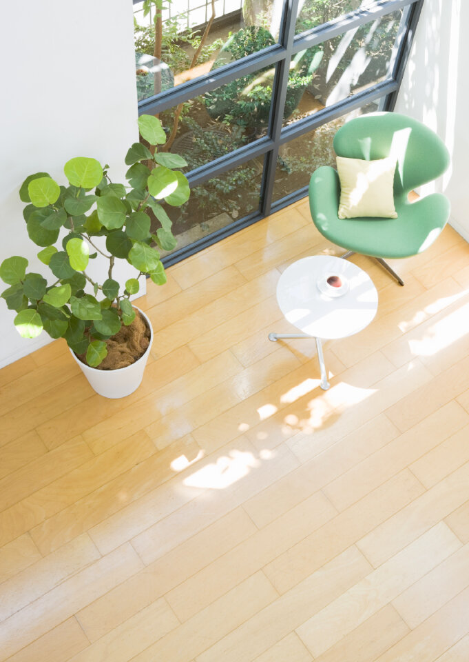 Tables chairs plants room in house next to garden photo