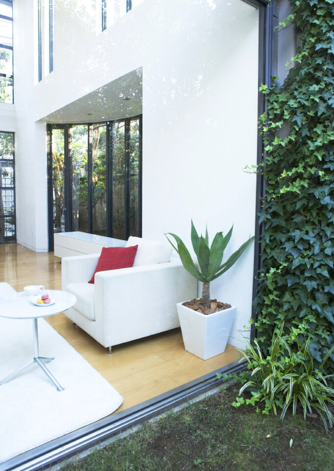 Interior designer living room with a view