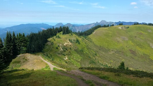 Mountain Artist Ridge Trail Park. Mount Baker, Washington photo