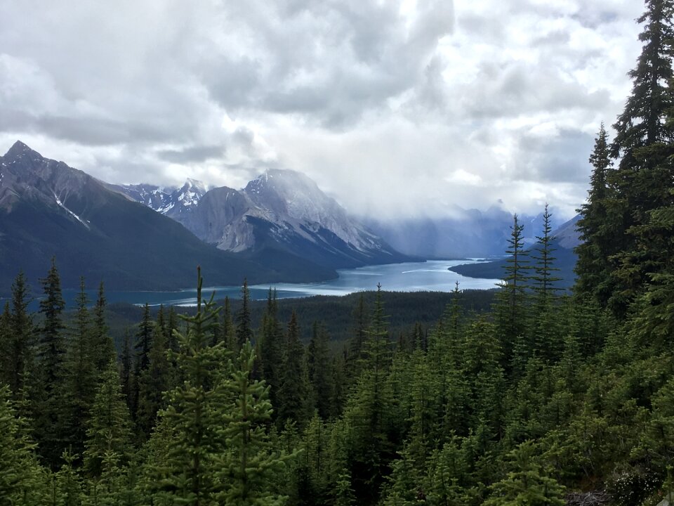 Mount Edith Cavell Jasper National Park