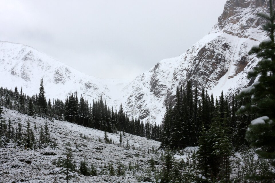 mount Edith Cavell and Angel Glacier in Jasper National Park