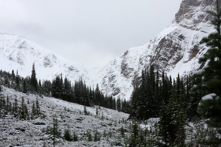 mount Edith Cavell and Angel Glacier in Jasper National Park photo