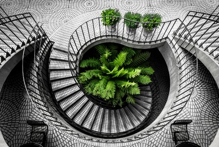 Green plants and grey stairs photo