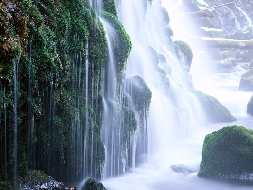 Deep forest Waterfall
