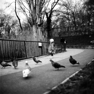 a little girl feeding a flock of pigeons photo