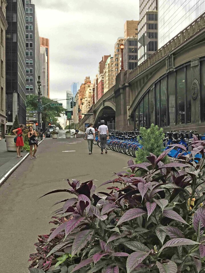 Park Avenue, New York CIty