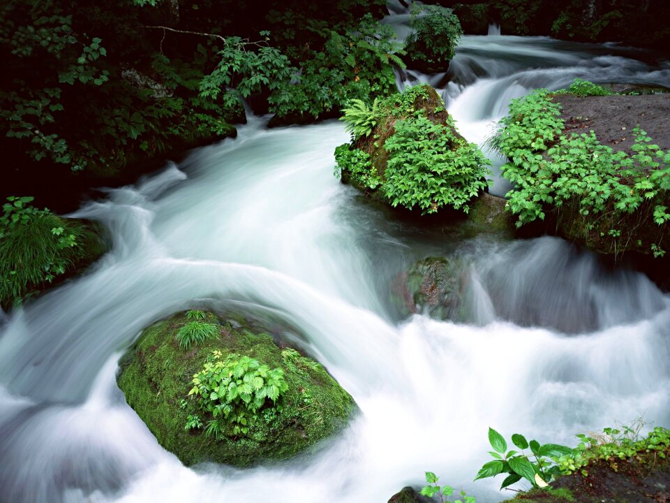 nice mountain stream with green stones photo