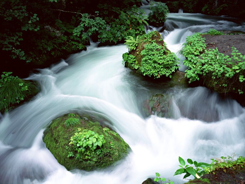 nice mountain stream with green stones