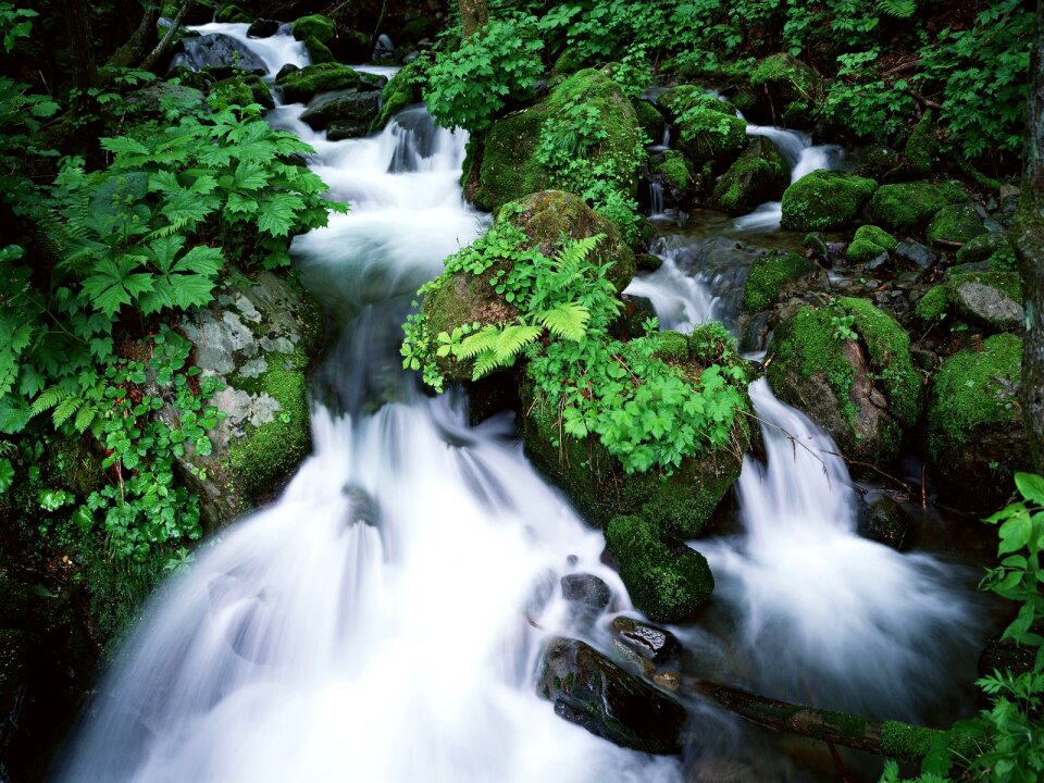 Run of mountain stream waterfalls photo