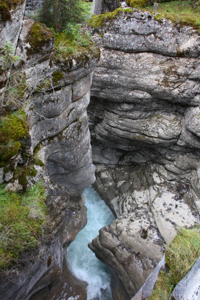 Parker Ridge Trail in the Canadian Rockies