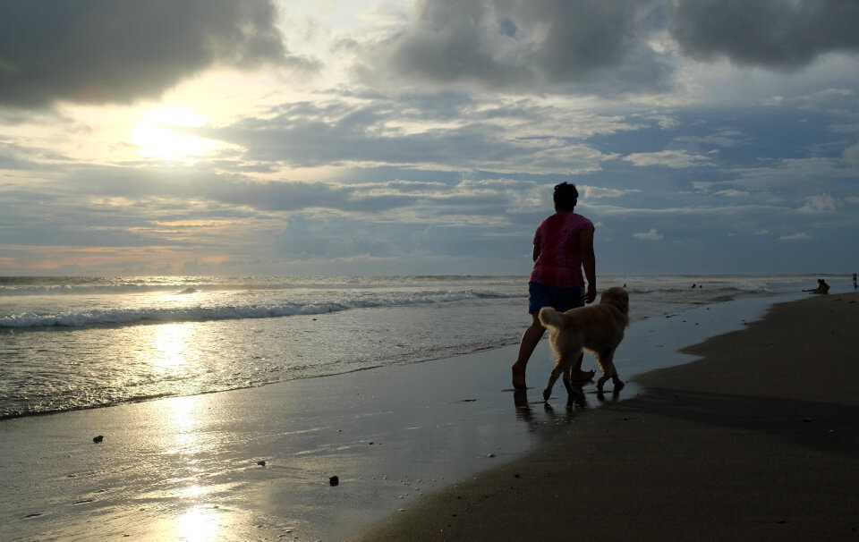 man with dog at sunset