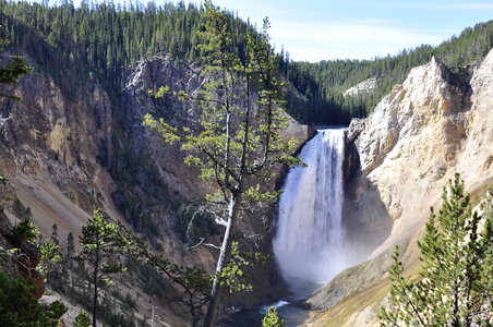 Lower Falls of the Yellowstone River