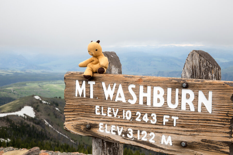The sign at the summit of Mt. Washburn