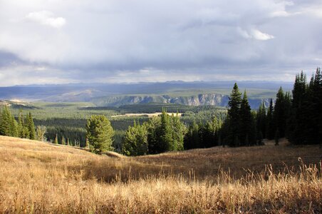 Beautiful View from the Mount Washburn Yellowstone National Park photo