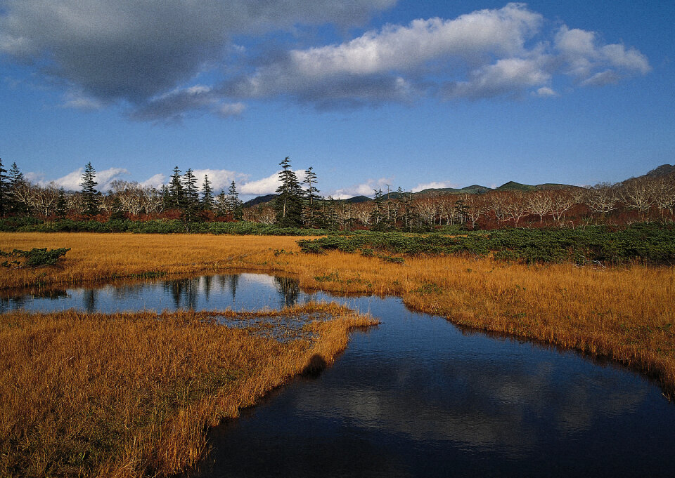 Fall foliage on the shoreline encircling Pond Hill Pond