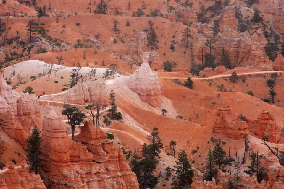 The Bryce Canyon National Park, Utah
